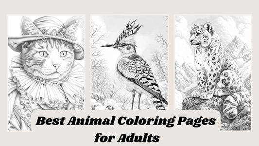 Best Animal Coloring Pages for Adults