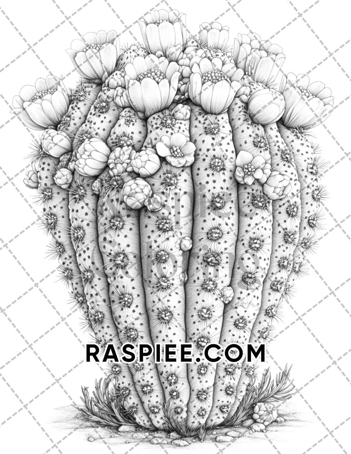 coloring succulents Succulent Blossoms Adult Coloring Pages Printable PDF Instant Download – RASPIEE