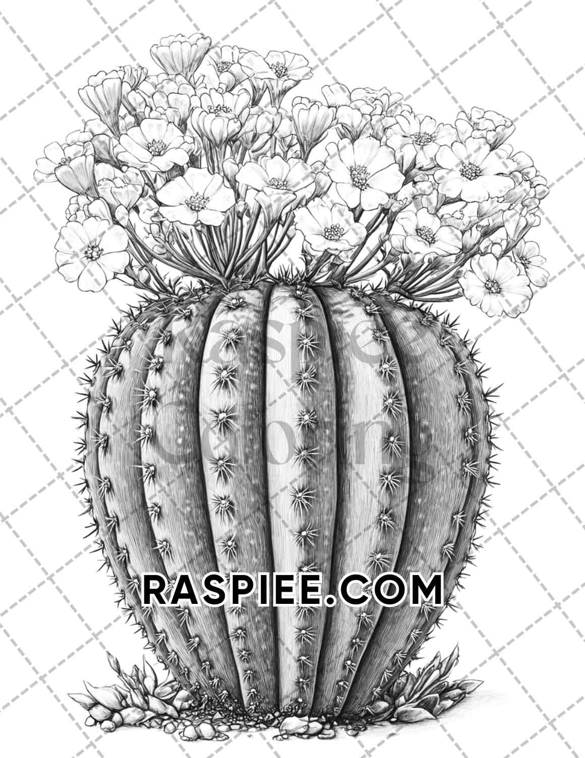 Succulent Blossoms Adult Coloring Pages Printable PDF Instant Download