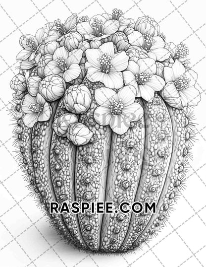 Succulent Blossoms Adult Coloring Pages Printable PDF Instant Download