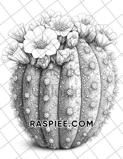 Succulent Blossoms Adult Coloring Pages Printable PDF Instant Download