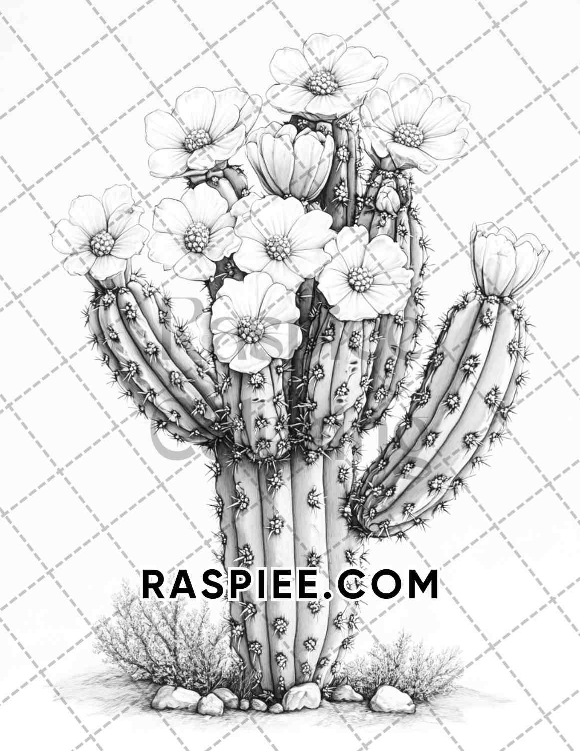 Succulent Blossoms Adult Coloring Pages Printable PDF Instant Download