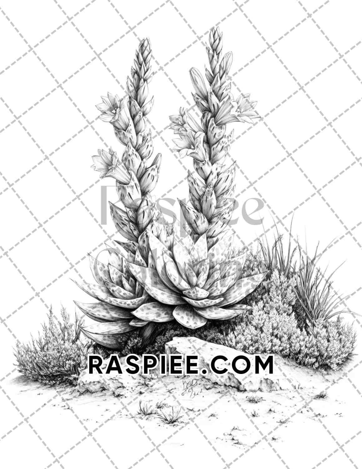 succulent plants coloring pages Succulent Blossoms Adult Coloring Pages Printable PDF Instant Download – RASPIEE