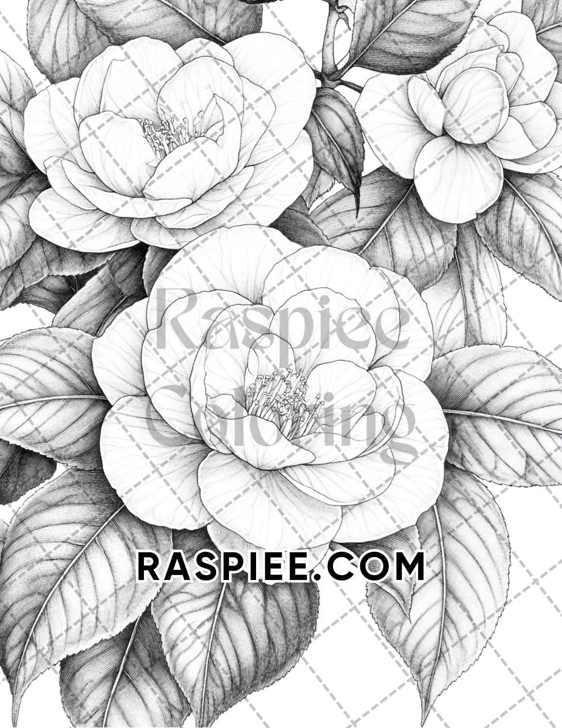 Seasonal Flowers Adult Coloring Pages Printable PDF Instant Download