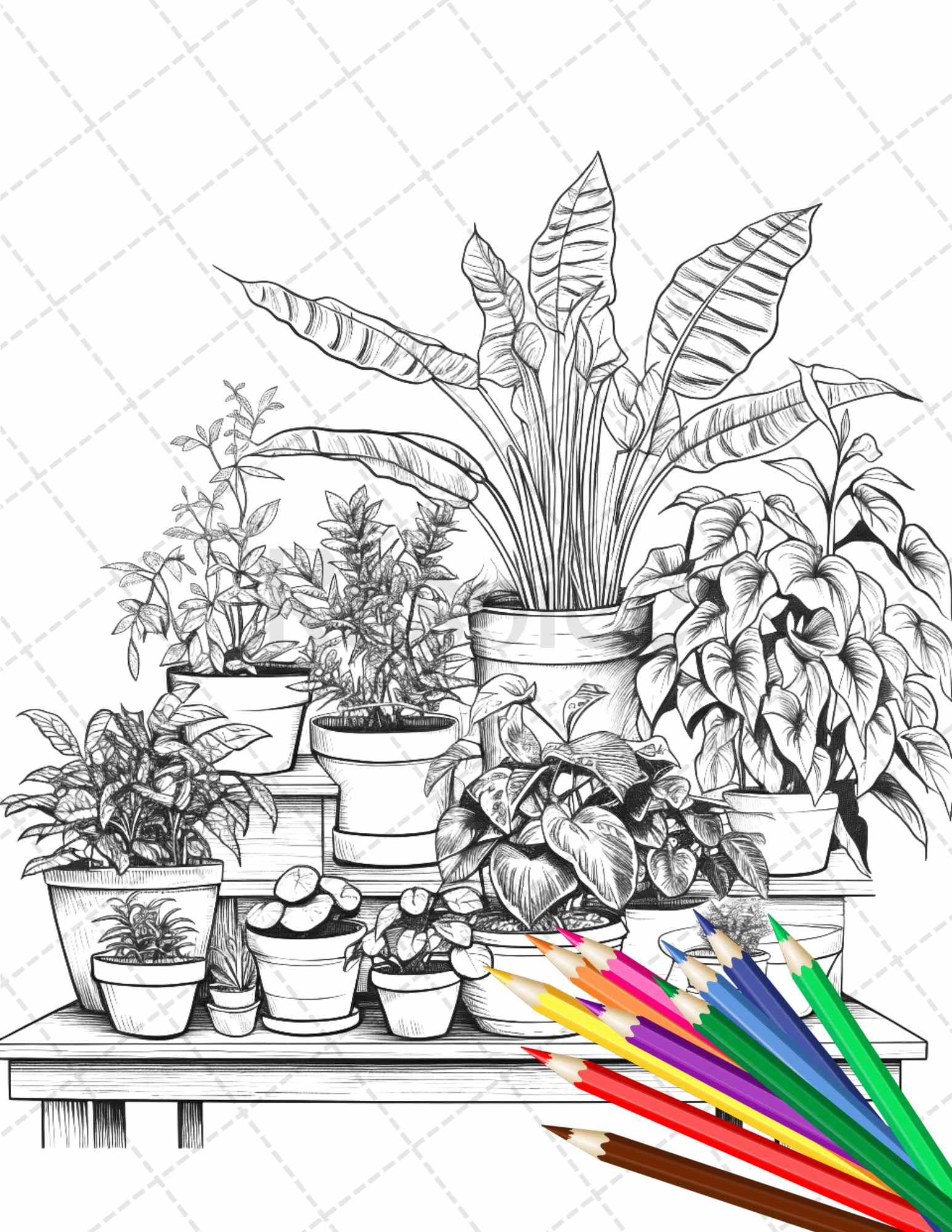 indoor plants pdf 38 Indoor Houseplants Coloring Pages Printable for Adults, Grayscale Coloring Page, PDF File Instant Download