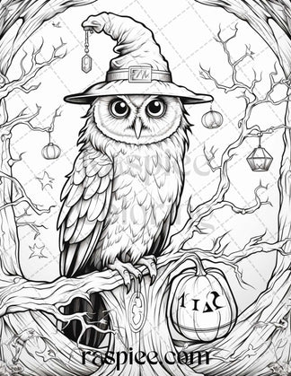 Halloween Witch Owl Grayscale Coloring Pages For Adults And Kids, Prin 