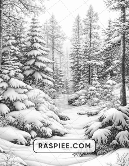 82 Winter Landscapes Adult Coloring Pages - RASPIEE