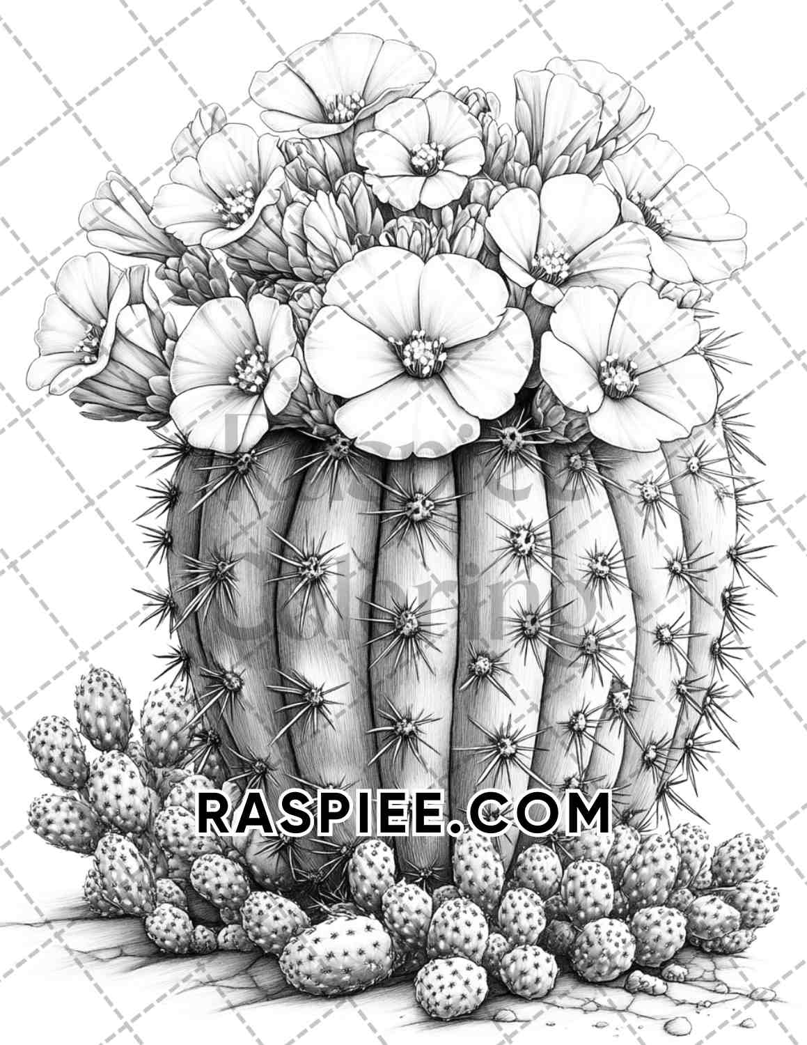 Succulent Blossoms Adult Coloring Pages Printable PDF Instant Download