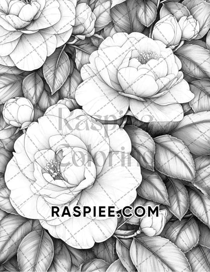 Seasonal Flowers Adult Coloring Pages Printable PDF Instant Download