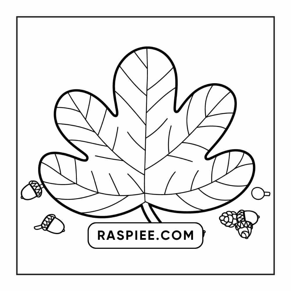 76 Bold and Easy Fall Vibes Coloring Pages Printable PDF Instant Download - RASPIEE