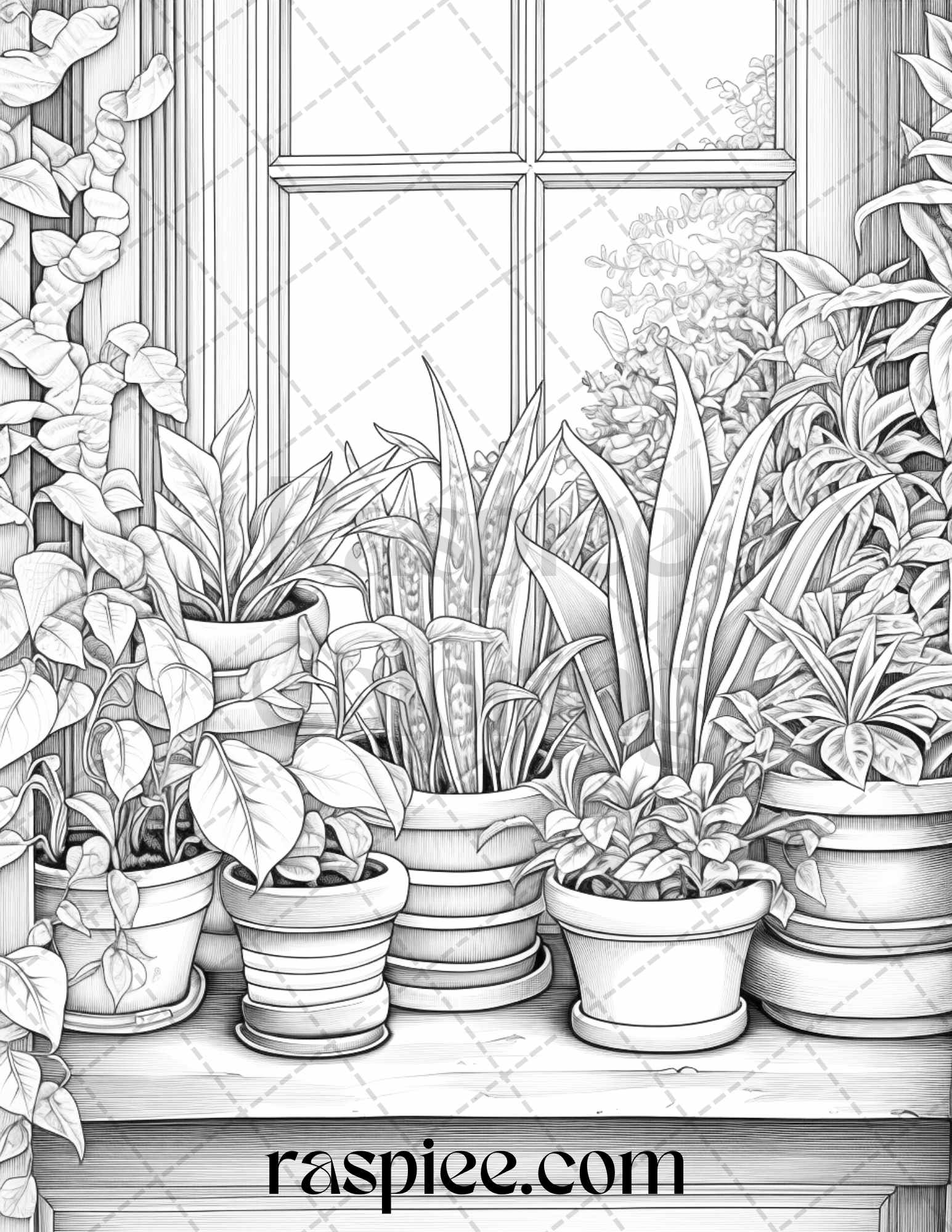 40 Window Plants Grayscale Coloring Pages Printable for Adults, PDF File Instant Download - raspiee