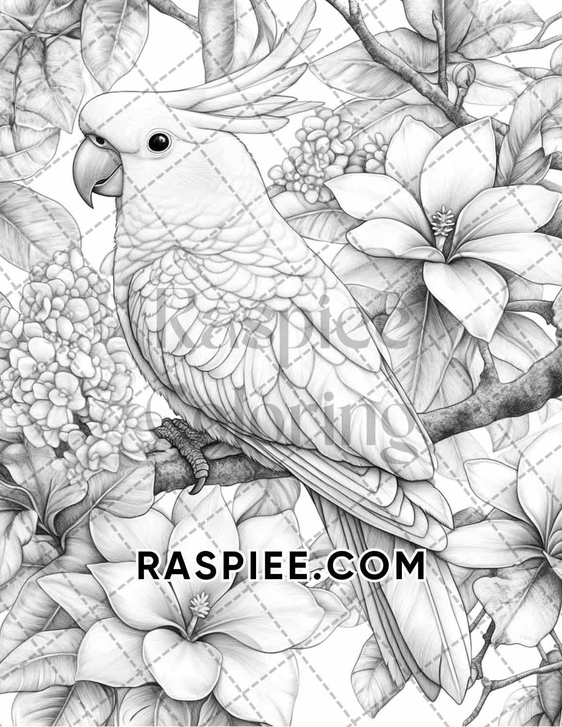 Flowers and Birds Adult Coloring Pages Printable PDF Instant Download - RASPIEE