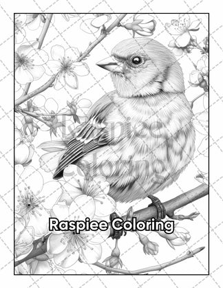 50 Beautiful Birds Adult Coloring Pages Printable PDF Instant Download ...