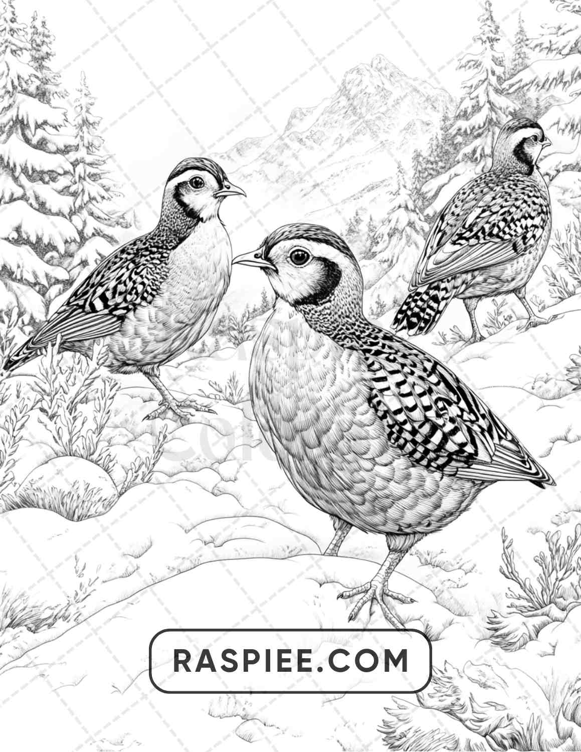 80 Winter Birds Adult Coloring Pages