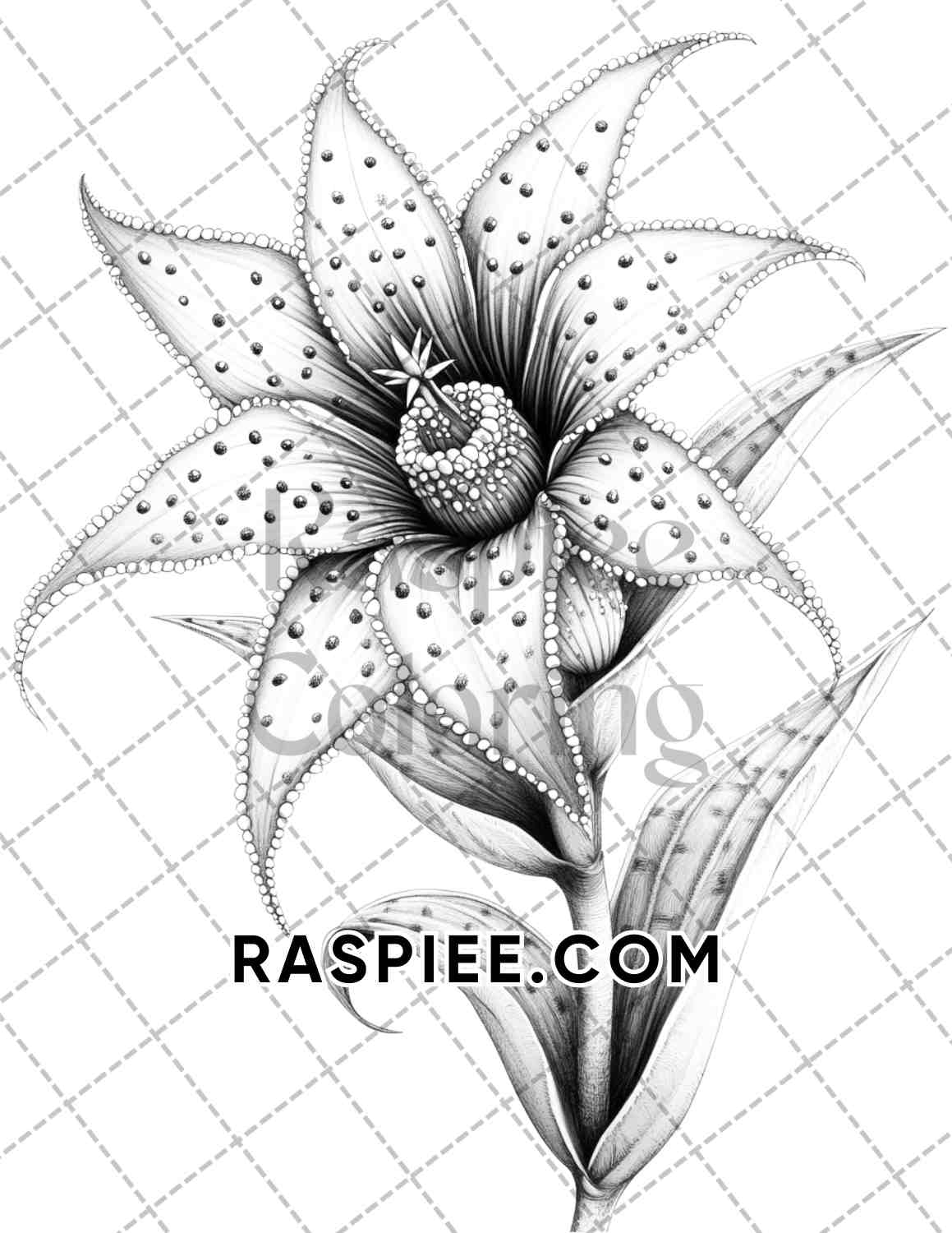 Succulent Blossoms Adult Coloring Pages Printable PDF Instant Download