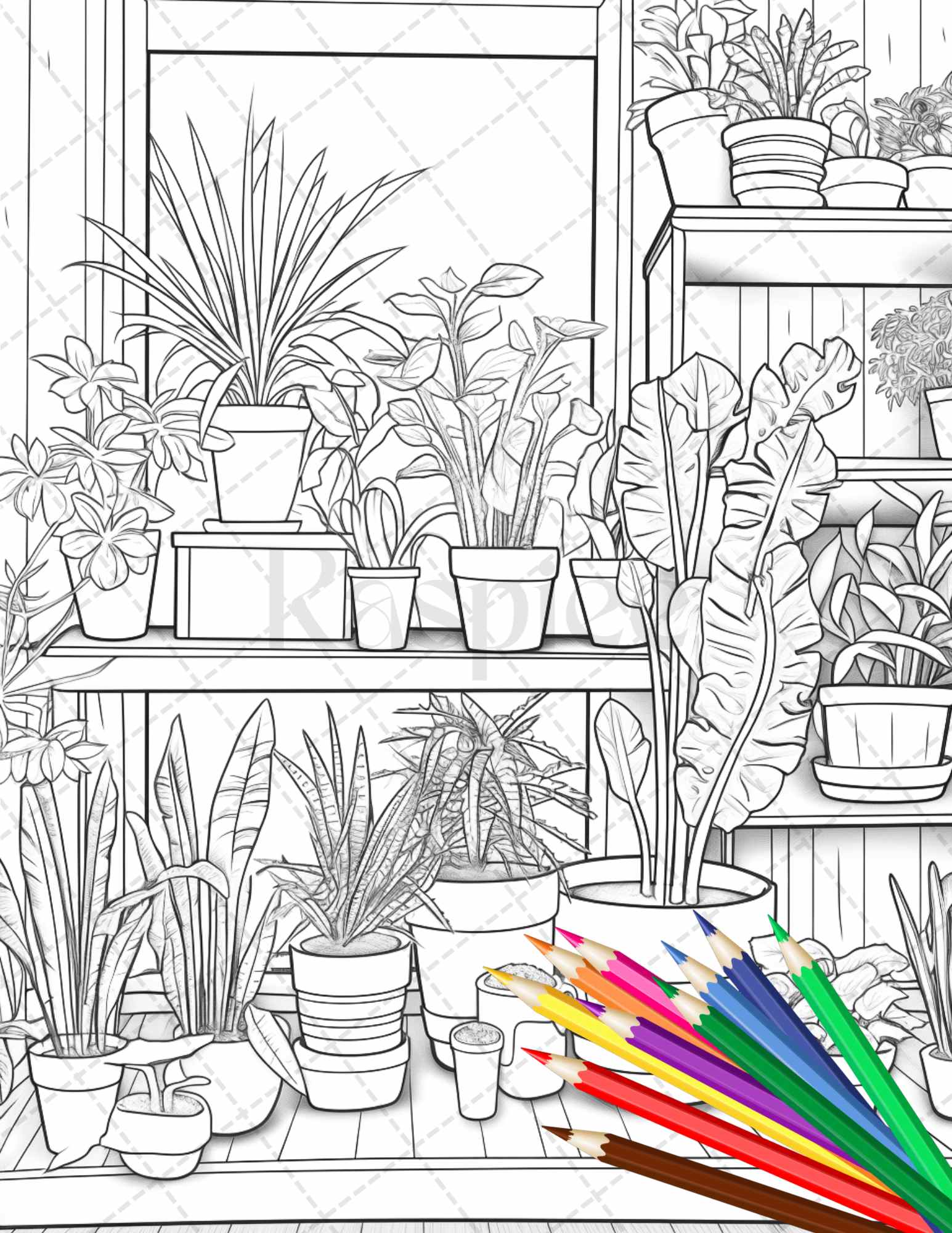 38 Indoor Houseplants Coloring Pages Printable for Adults, Grayscale Coloring Page, PDF File Instant Download - raspiee