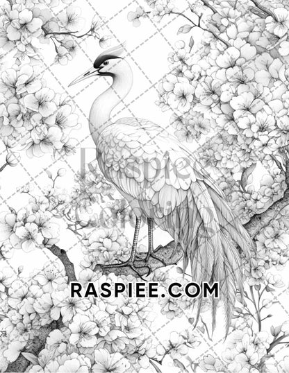 Flowers and Birds Adult Coloring Pages Printable PDF Instant Download - RASPIEE