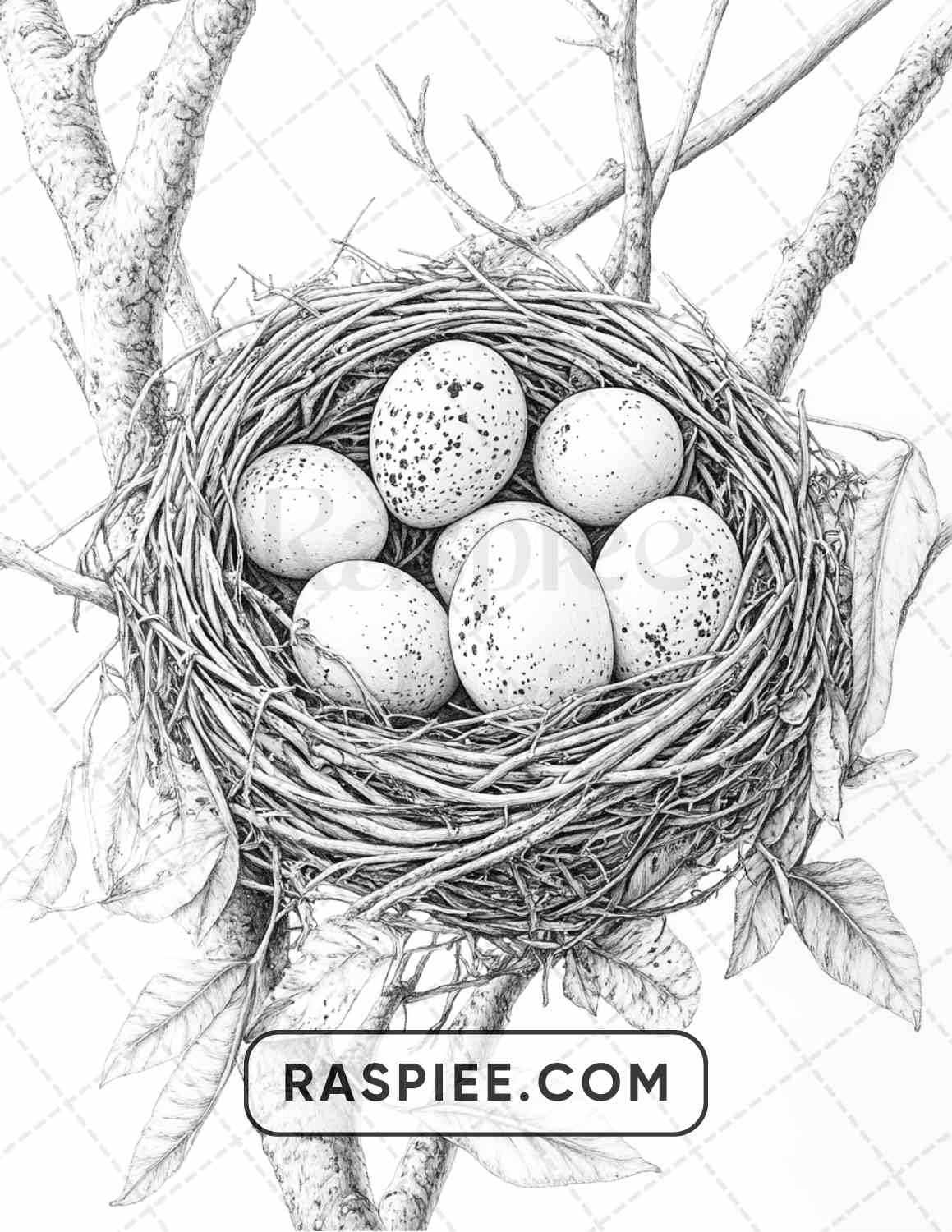 80 Still Life Adult Coloring Pages - RASPIEE