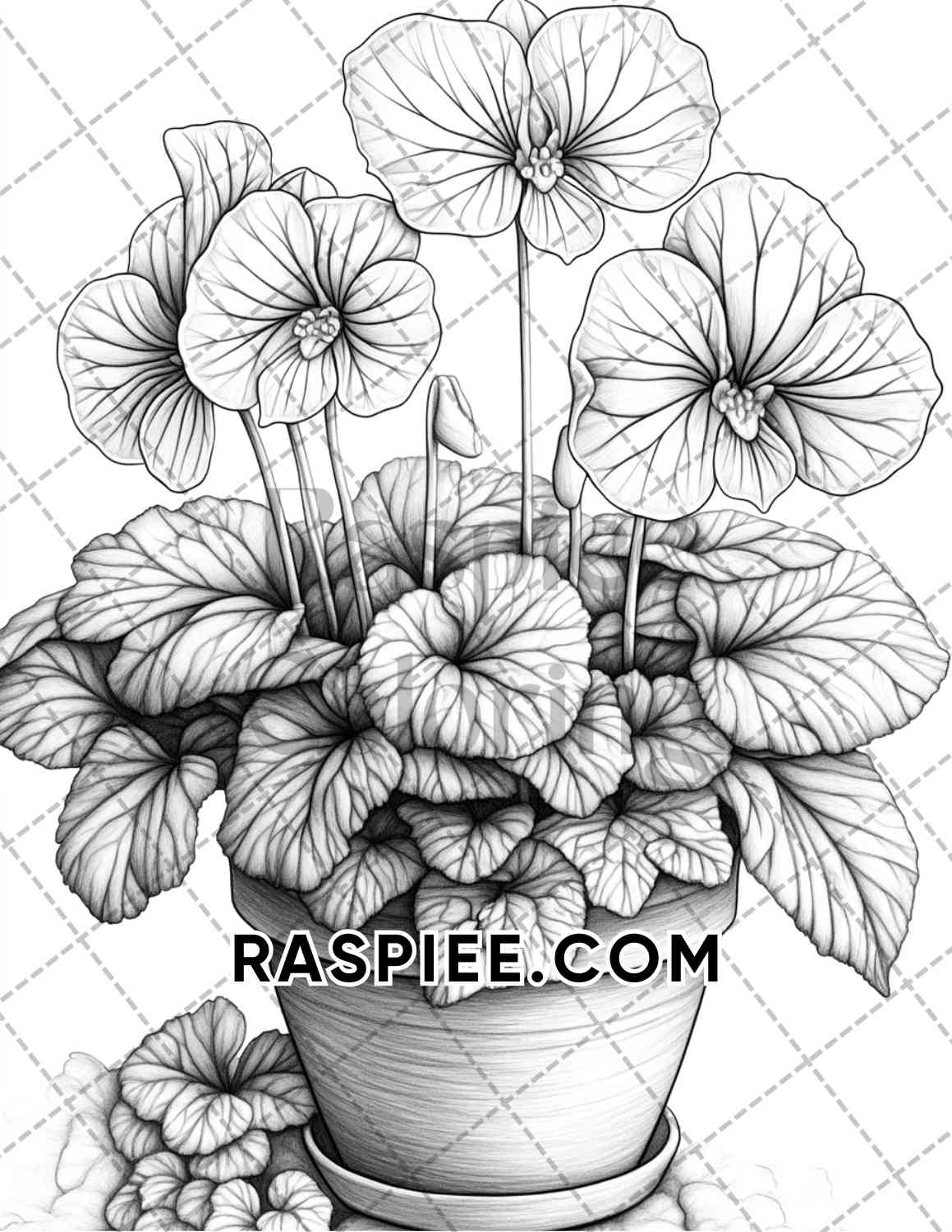 Seasonal Flowers Adult Coloring Pages Printable PDF Instant Download