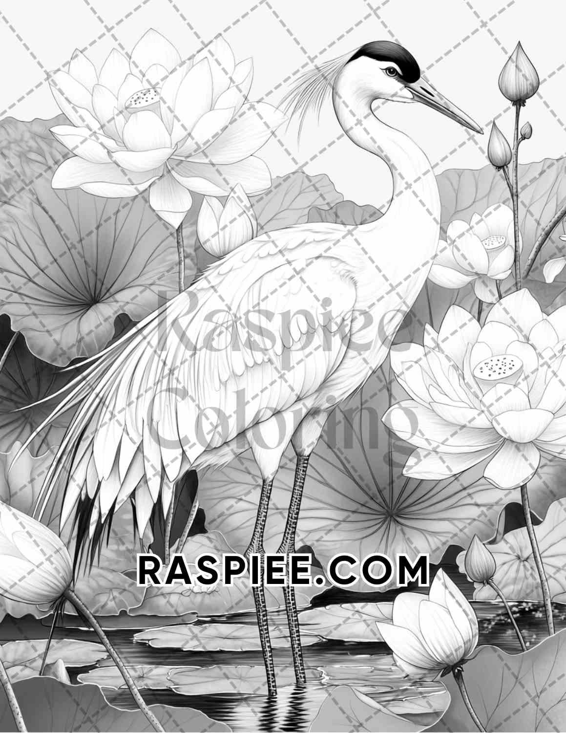 Flowers and Birds Adult Coloring Pages Printable PDF Instant Download - RASPIEE