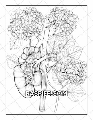 50 Botanical Anatomy Adult Coloring Pages Printable PDF Instant Downlo ...