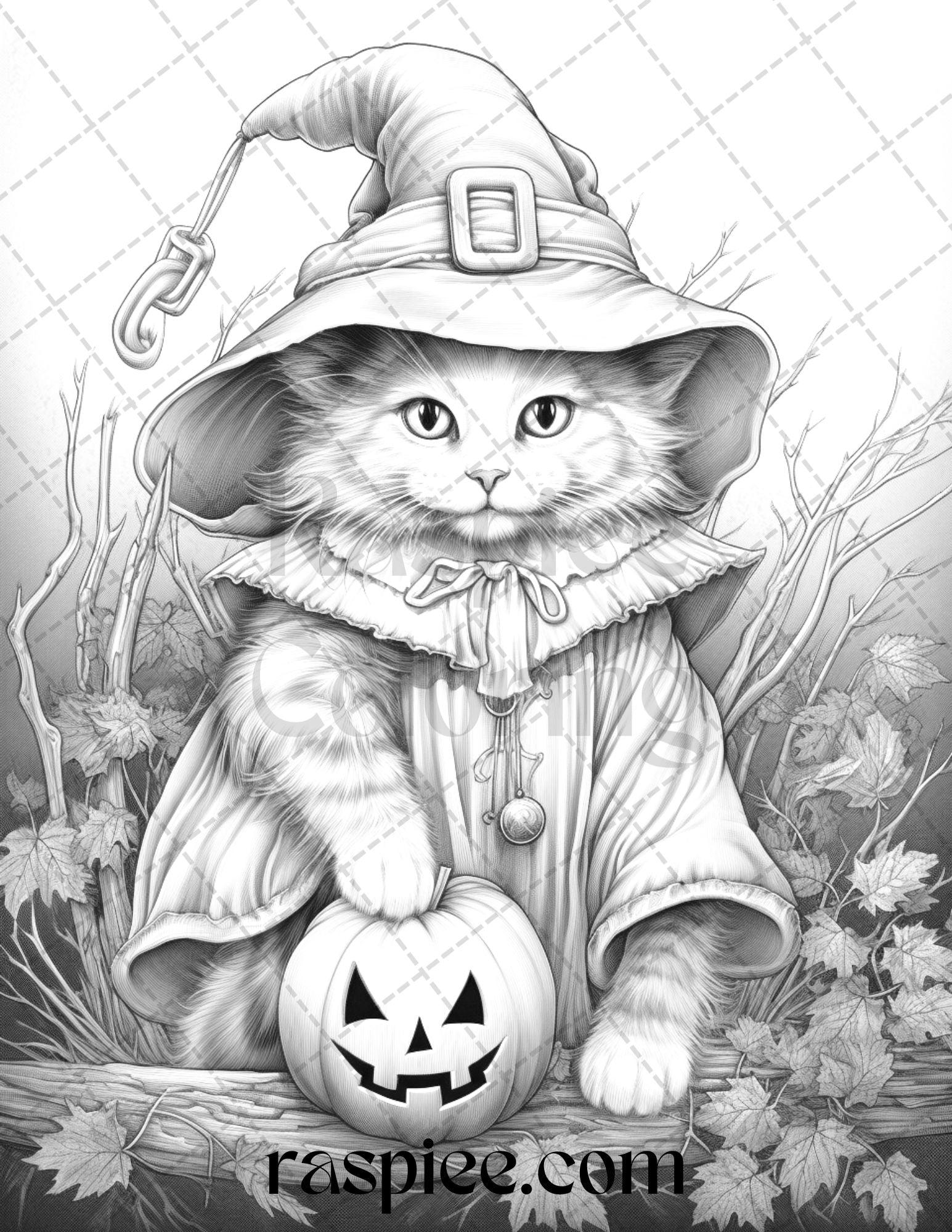 Halloween Cat Coloring Page Halloween Cat Coloring Page