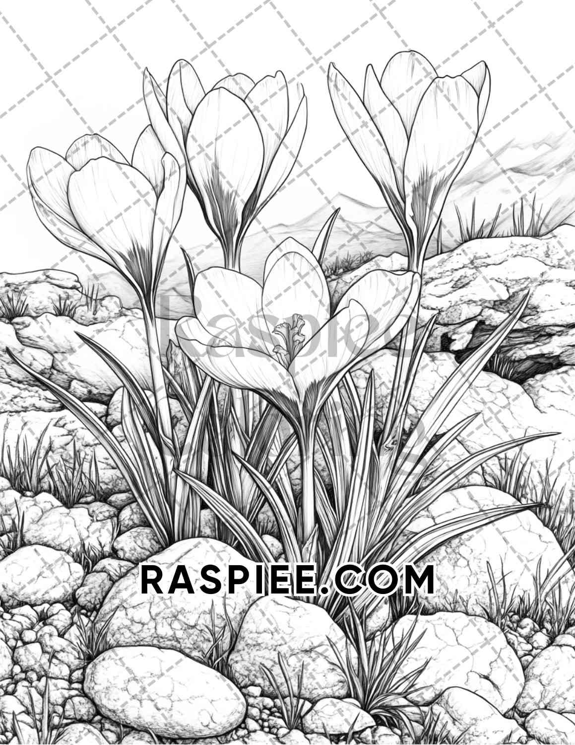 Seasonal Flowers Adult Coloring Pages Printable PDF Instant Download