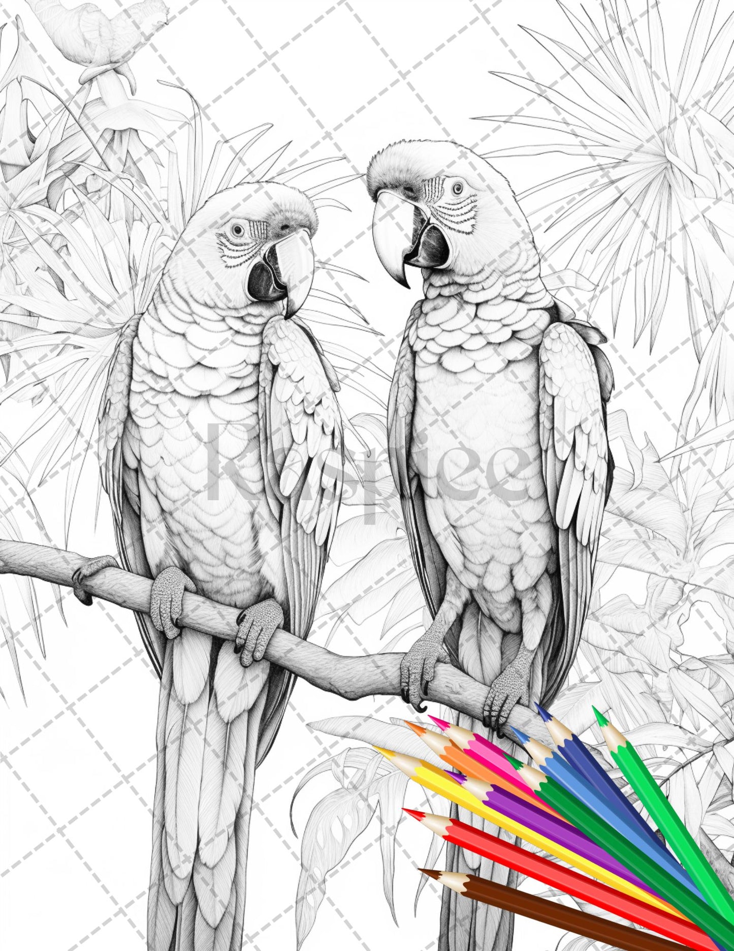 31 Tropical Birds Coloring Book for Adults, Grayscale Coloring Page, Printable PDF Instant Download - raspiee