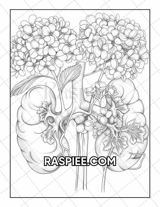 50 Botanical Anatomy Adult Coloring Pages Printable PDF Instant Downlo ...