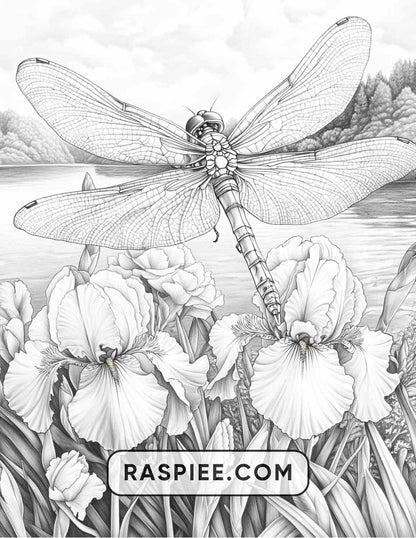 Insects and Flowers Adult Coloring Pages - RASPIEE