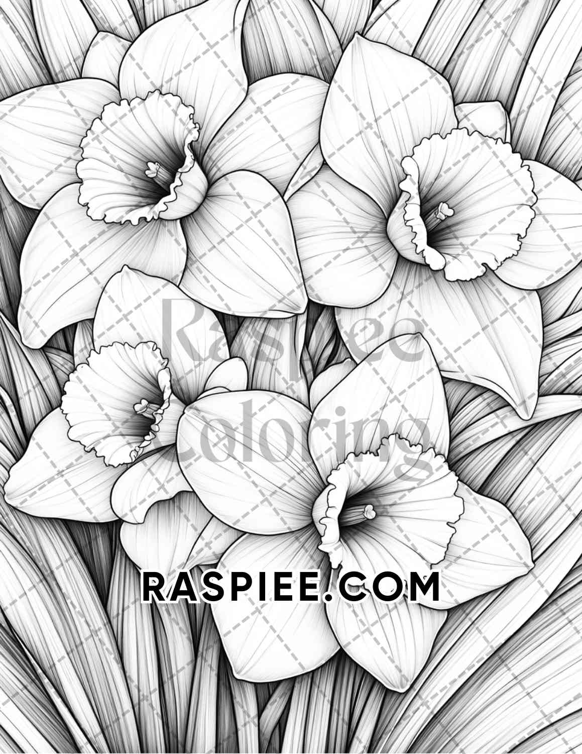 Seasonal Flowers Adult Coloring Pages Printable PDF Instant Download