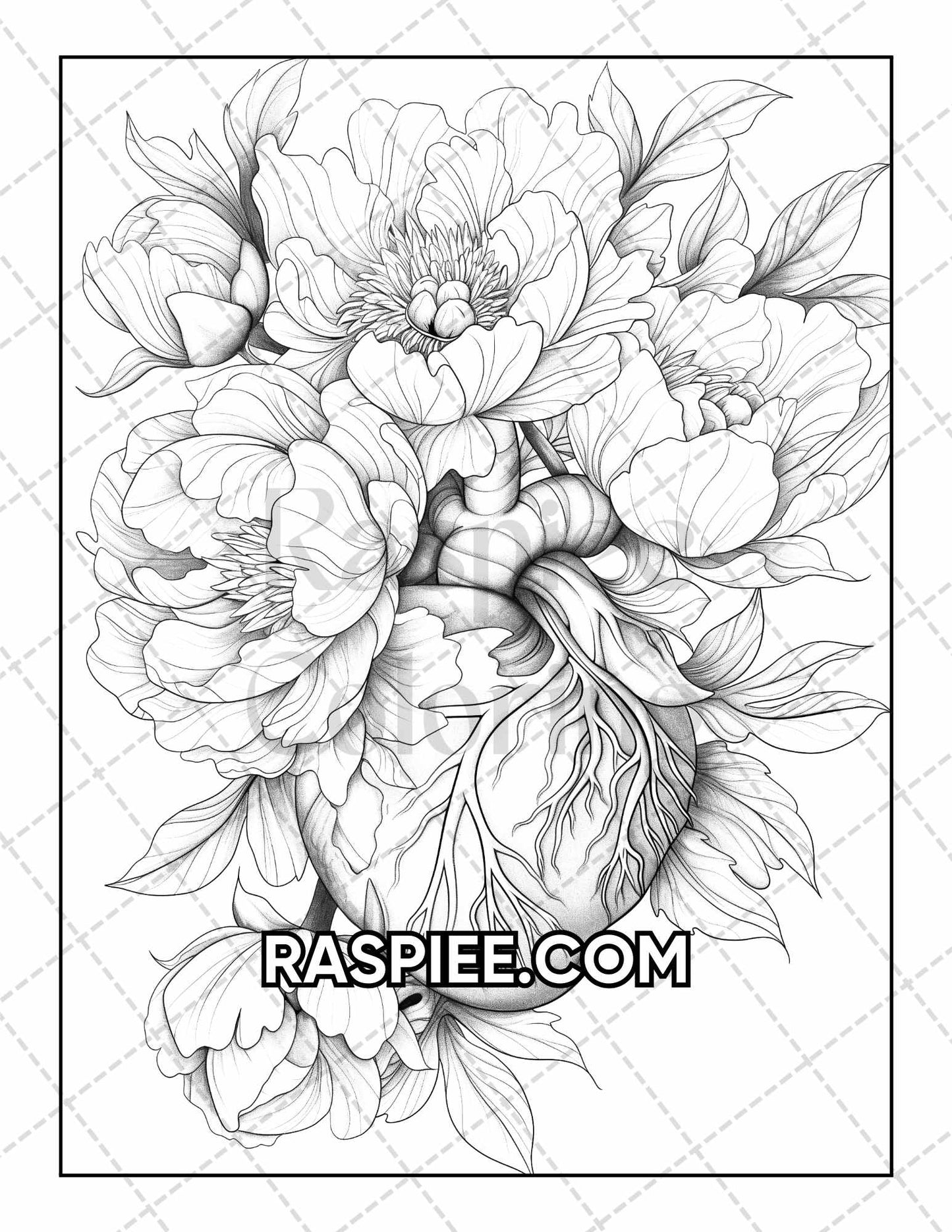 50 Botanical Anatomy Adult Coloring Pages Printable PDF Instant Download