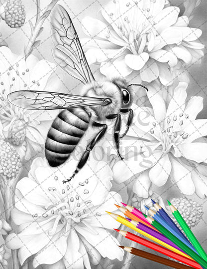 48 Vintage Botanical Bee Grayscale Coloring Pages Printable for Adults, PDF File Instant Download - raspiee