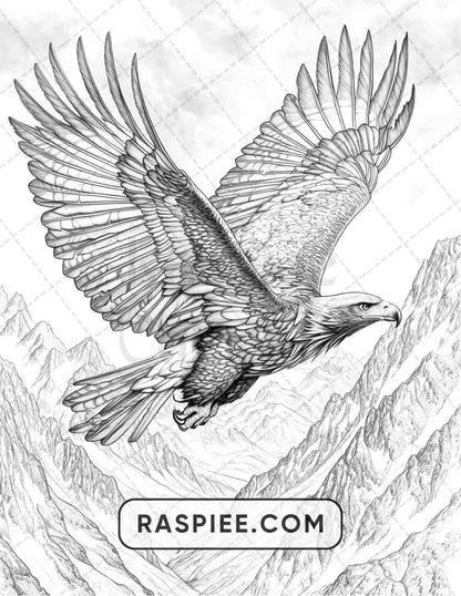 80 Winter Birds Adult Coloring Pages