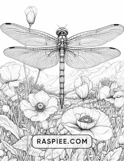 Insects and Flowers Adult Coloring Pages - RASPIEE