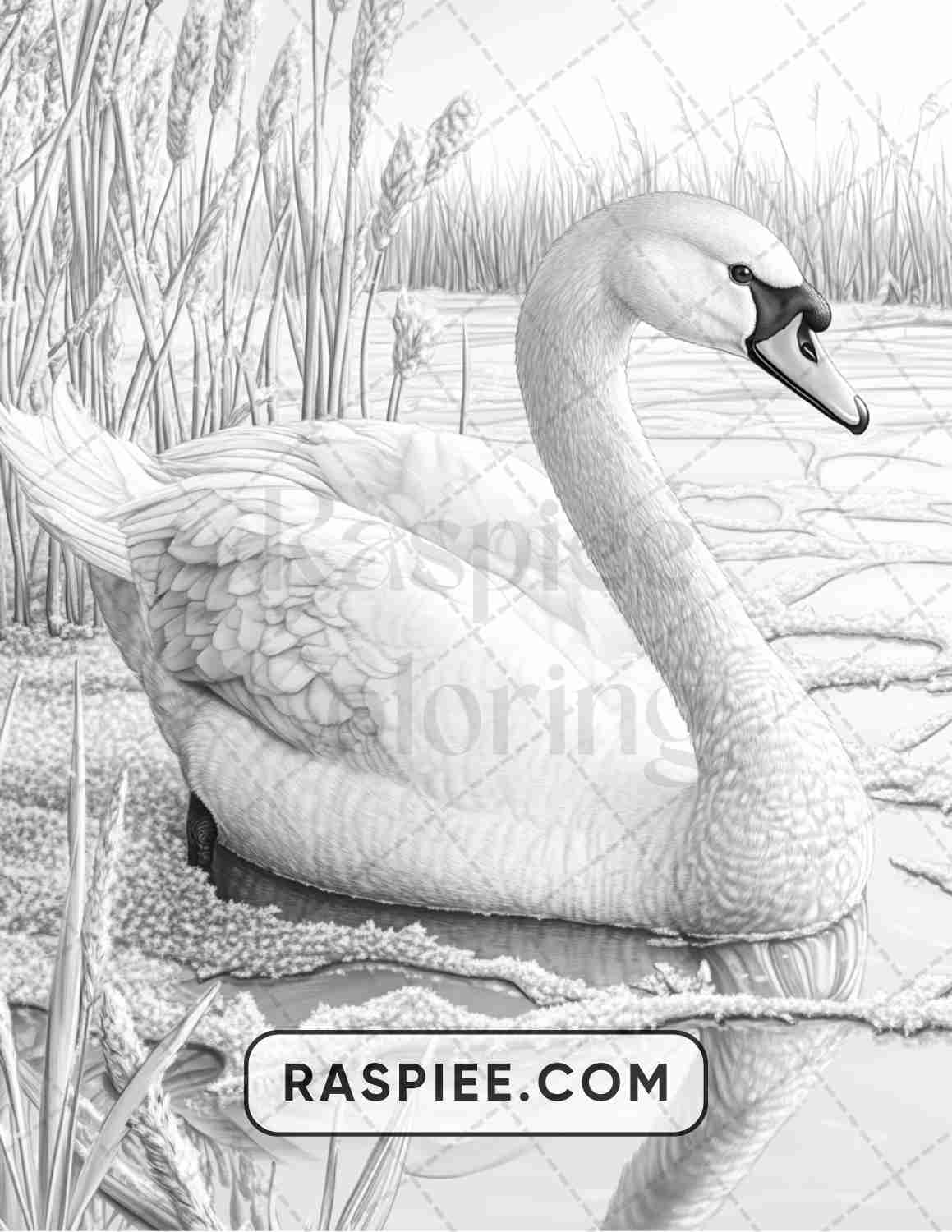 86 Winter Animals Adult Coloring Pages