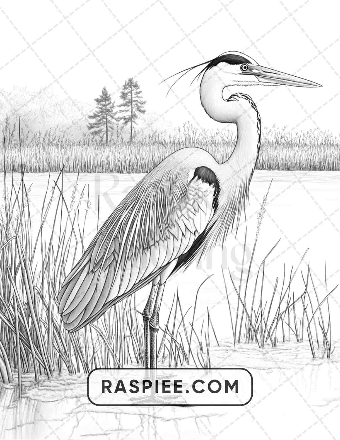 80 Winter Birds Adult Coloring Pages