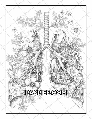 50 Botanical Anatomy Adult Coloring Pages Printable PDF Instant Downlo ...