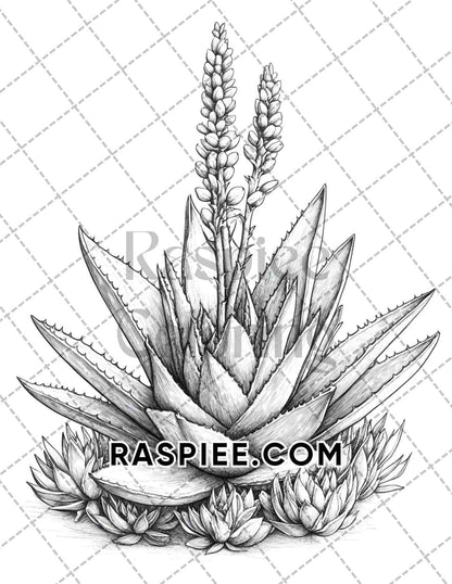 Succulent Blossoms Adult Coloring Pages Printable PDF Instant Download