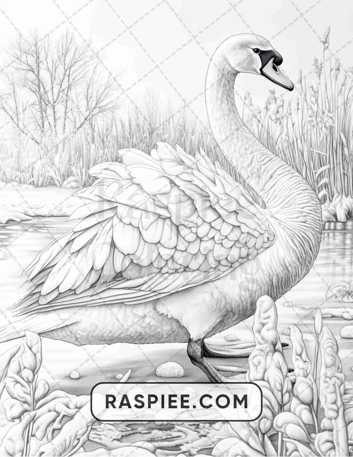 86 Winter Animals Adult Coloring Pages