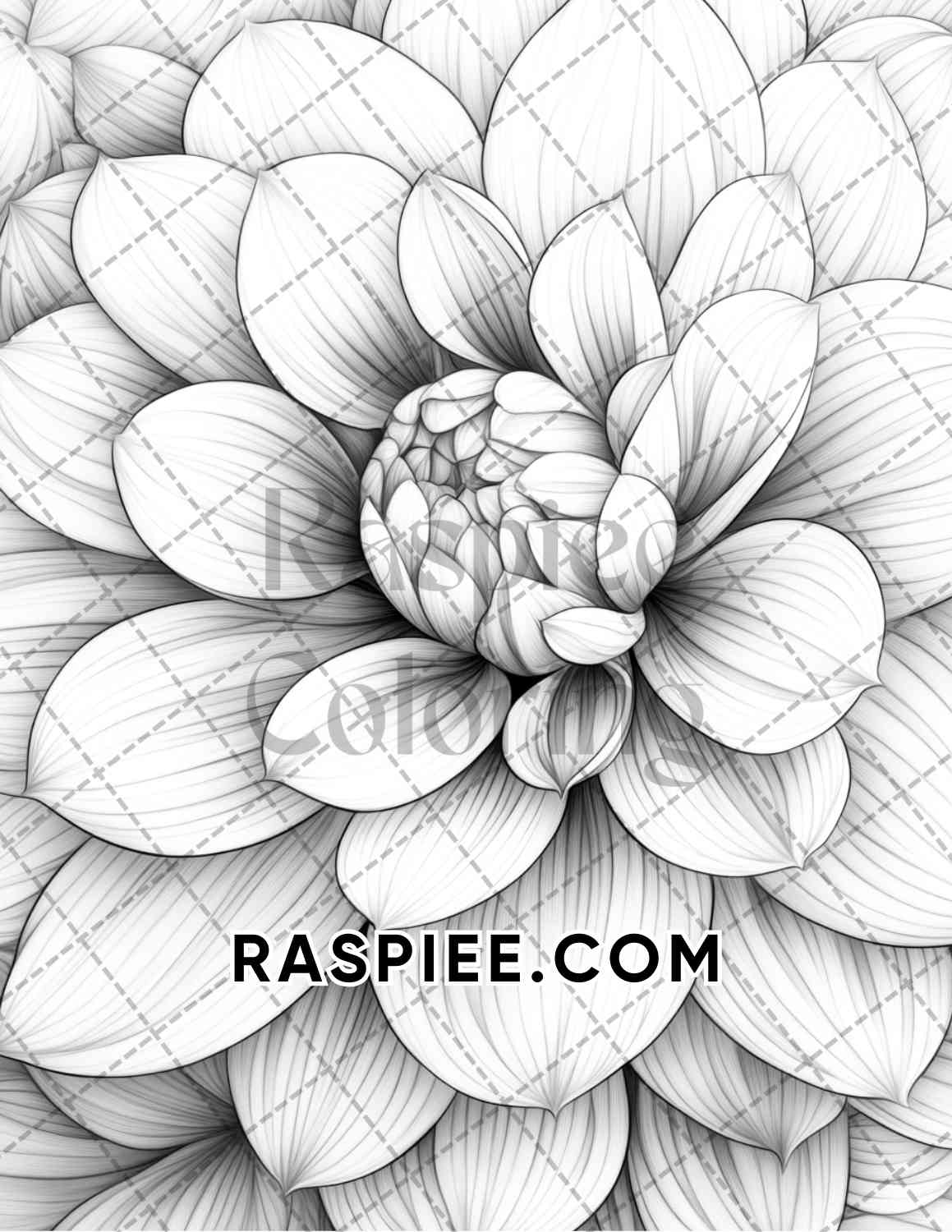 Seasonal Flowers Adult Coloring Pages Printable PDF Instant Download