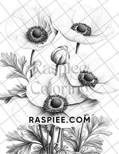 Seasonal Flowers Adult Coloring Pages Printable PDF Instant Download