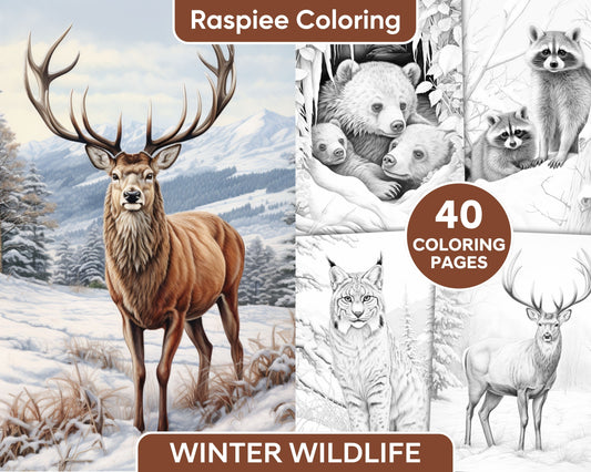 Relaxing Animal Coloring, Snowy Landscape Coloring Pages, Wildlife Coloring Pages, Winter Coloring Pages, Animals Coloring Pages, Animals Coloring Book Printable, Animal Coloring Sheets