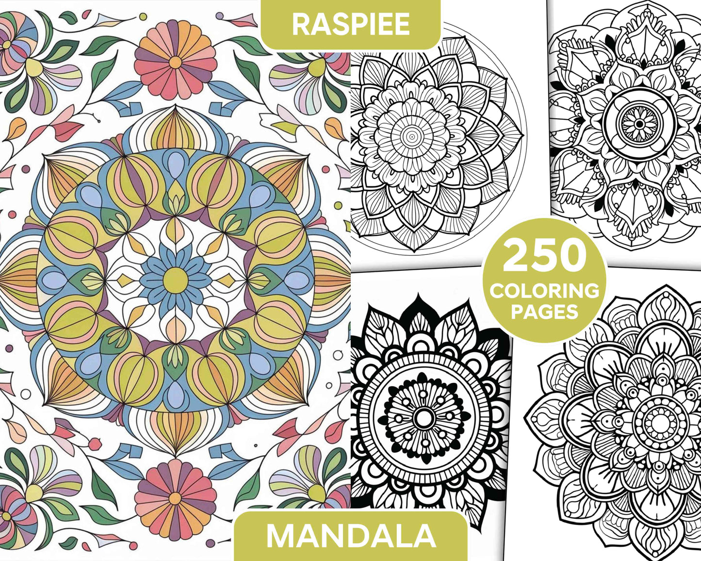 250 Mandala Adult Coloring Pages Vol.4 - RASPIEE