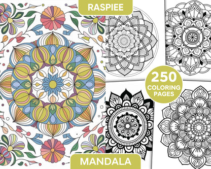 250 Mandala Adult Coloring Pages Vol.4 - RASPIEE