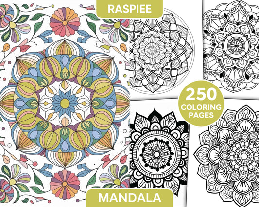 250 Mandala Adult Coloring Pages Vol.4 - RASPIEE