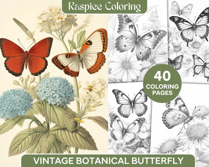 vintage botanical butterfly grayscale coloring pages, printable coloring pages for adults, detailed insect art, grayscale butterfly illustrations