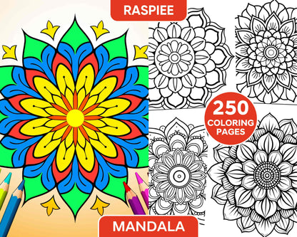 250 Mandala Adult Coloring Pages Vol.1 - RASPIEE