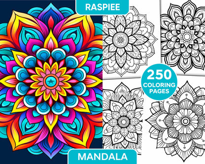 250 Mandala Adult Coloring Pages Vol.2 - RASPIEE