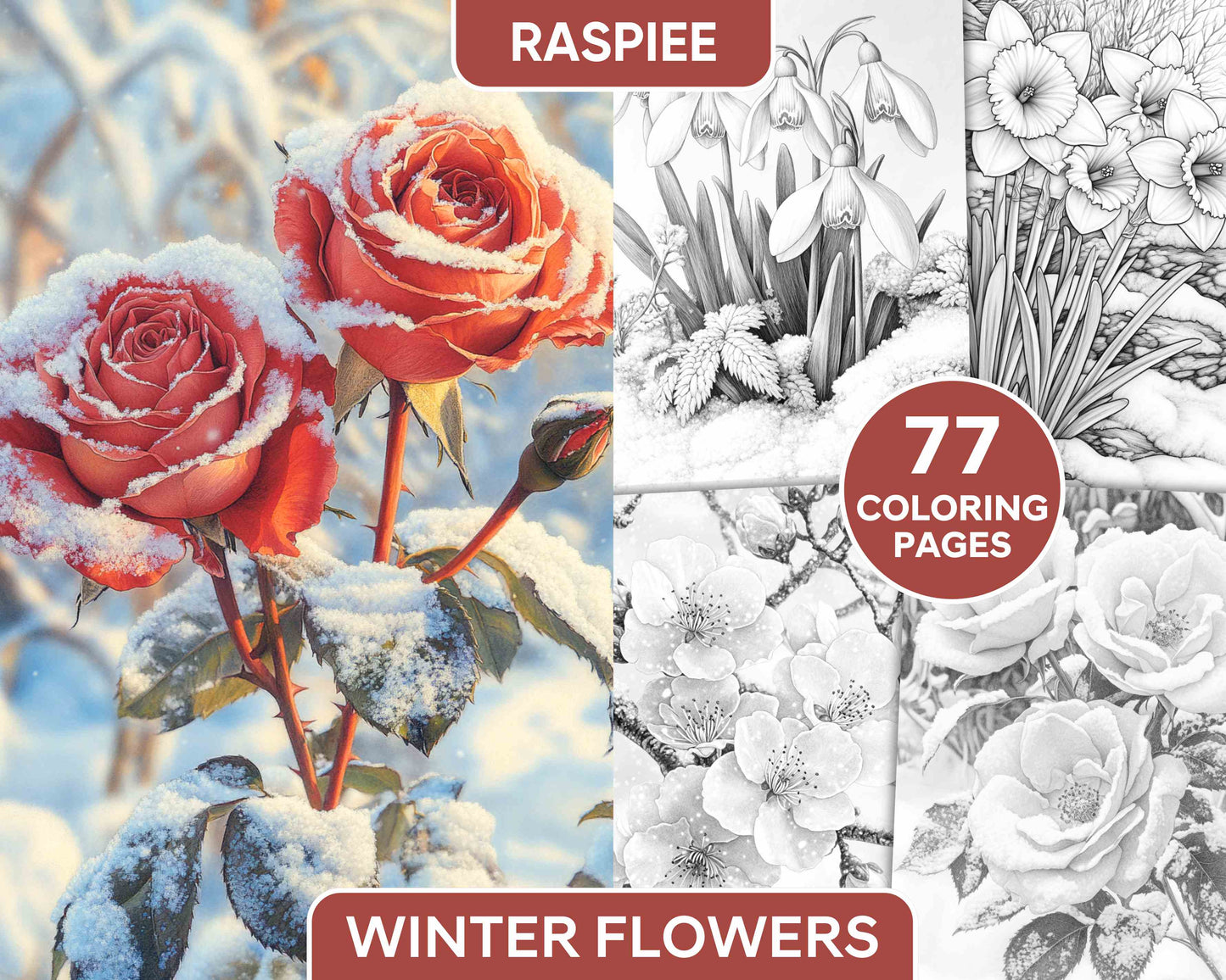 77 Winter Flowers Adult Coloring Pages